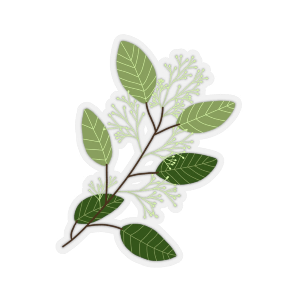 Seeded Eucalyptus Kiss-Cut Stickers